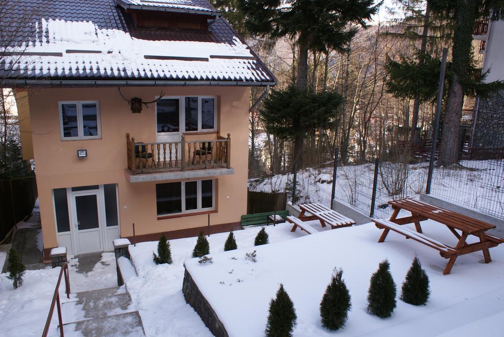 Vila Aleea 3* Sinaia
