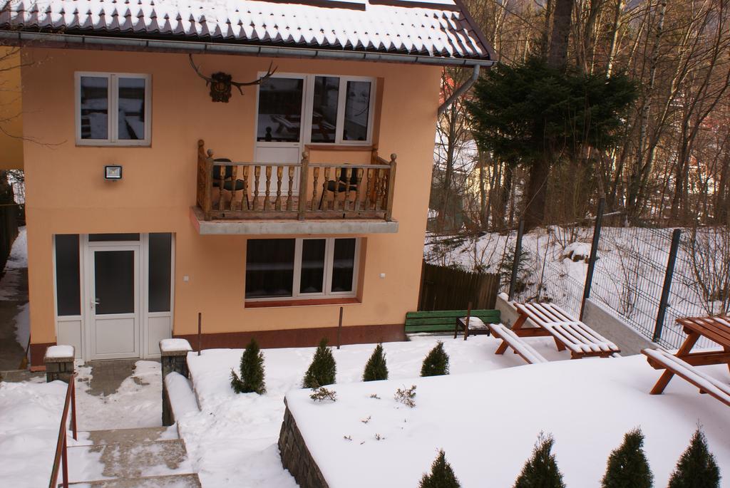 Pensiune Vila Aleea Sinaia